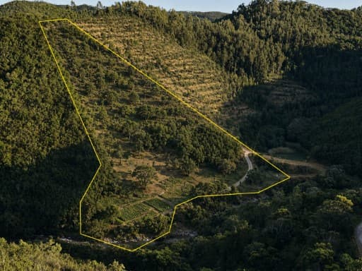 Terreno rústico de 1 hectare em Marmelete